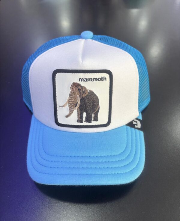 Cappello da baseball azzurro Mammoth - Gooring Gross