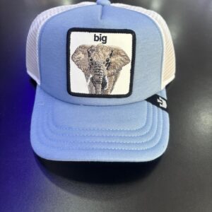 Cappello da baseball celeste Big - Gooring Gross