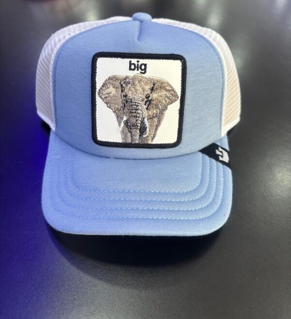 Cappello da baseball celeste Big - Gooring Gross